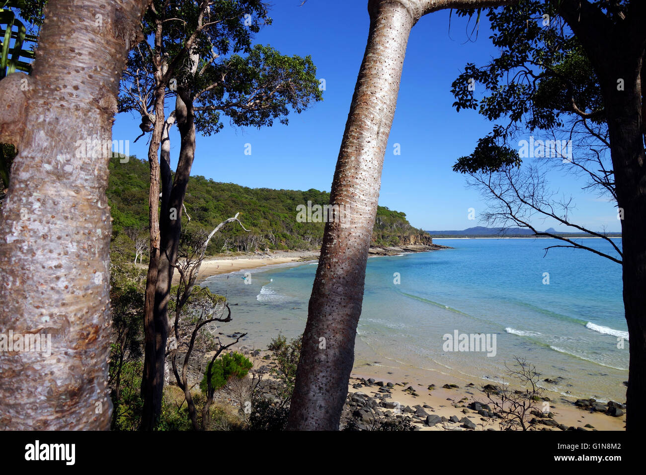 Matin calme à Granite Bay, Parc National de Noosa, Noosa Shire, Sunshine Coast, Queensland, Australie Banque D'Images