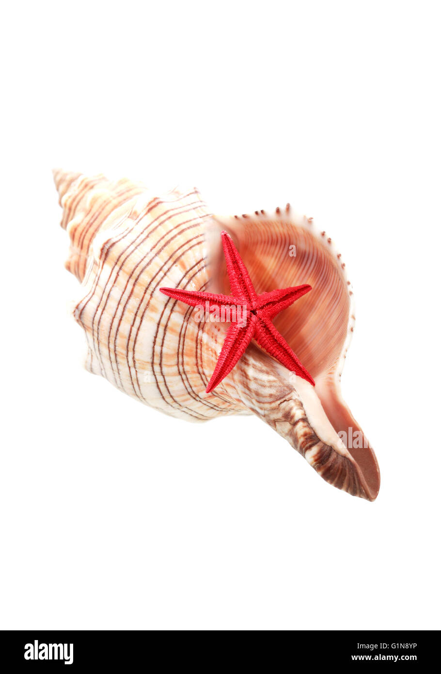 Une étoile rouge sur fond blanc contre seashell nice Banque D'Images