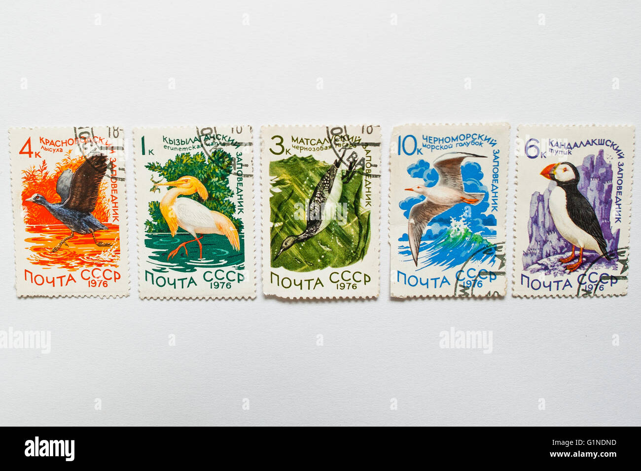 UZHGOROD, UKRAINE - circa 2016 MAI : Collection de timbres-poste imprimés en URSS montre les oiseaux de différentes réserves soviétiques, ci Banque D'Images