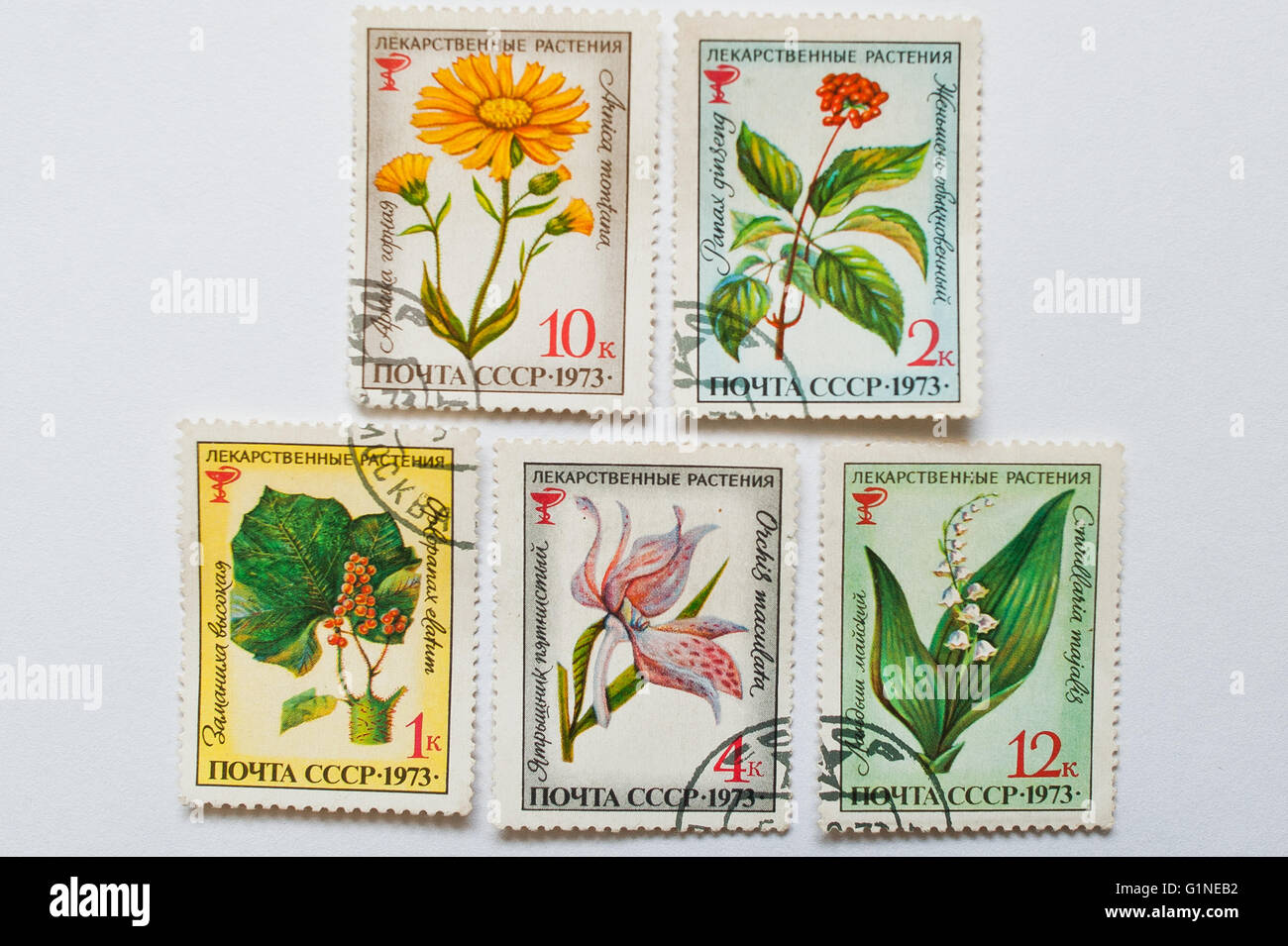 UZHGOROD, UKRAINE - circa 2016 MAI : Collection de timbres-poste imprimés en URSS, montre différentes fleurs d'herbes, vers 1973 Banque D'Images