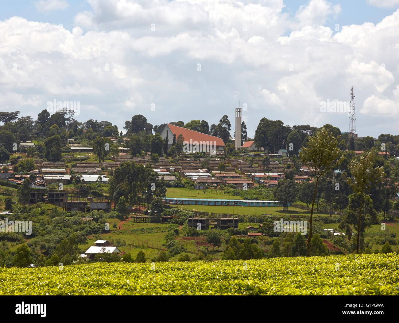 Vue éloignée sur les plantations de thé et les logements locaux. La Cathédrale du Sacré-Cœur du diocèse catholique de Kericho, Kericho, au Kenya. Banque D'Images