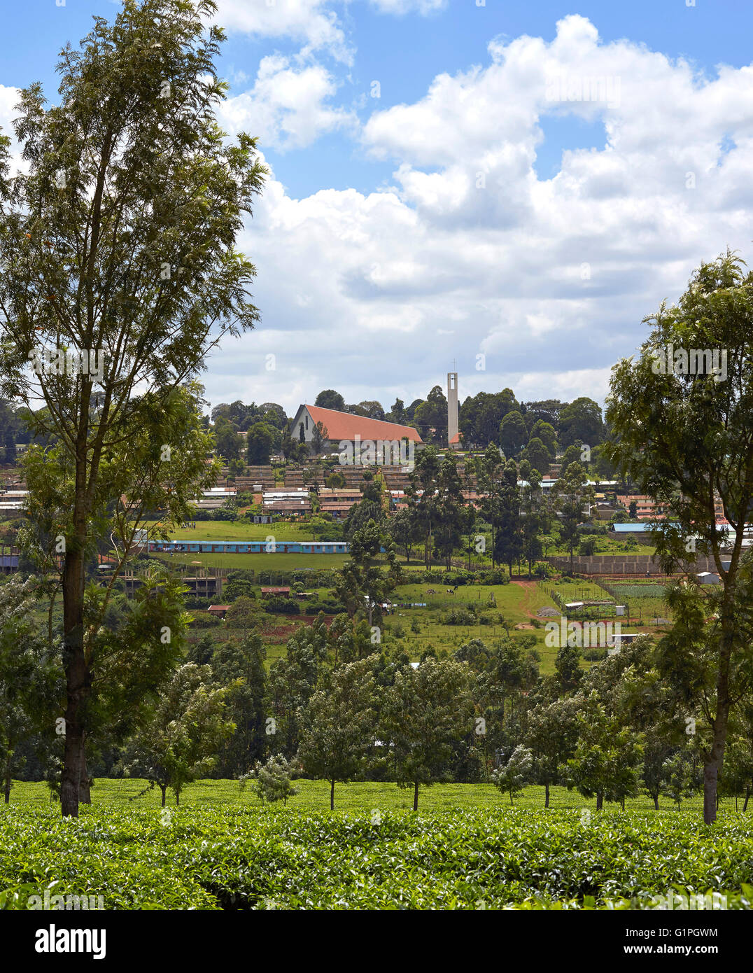 Vue éloignée sur les plantations de thé et les logements locaux. La Cathédrale du Sacré-Cœur du diocèse catholique de Kericho, Kericho, au Kenya. Banque D'Images