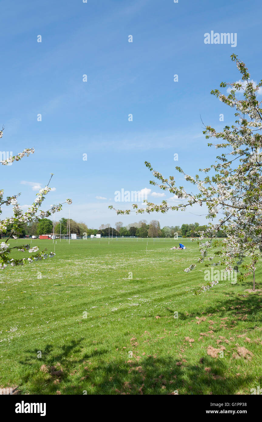 Les terrains de jeu à la maison Park, Windsor, Berkshire, Angleterre, Royaume-Uni Banque D'Images