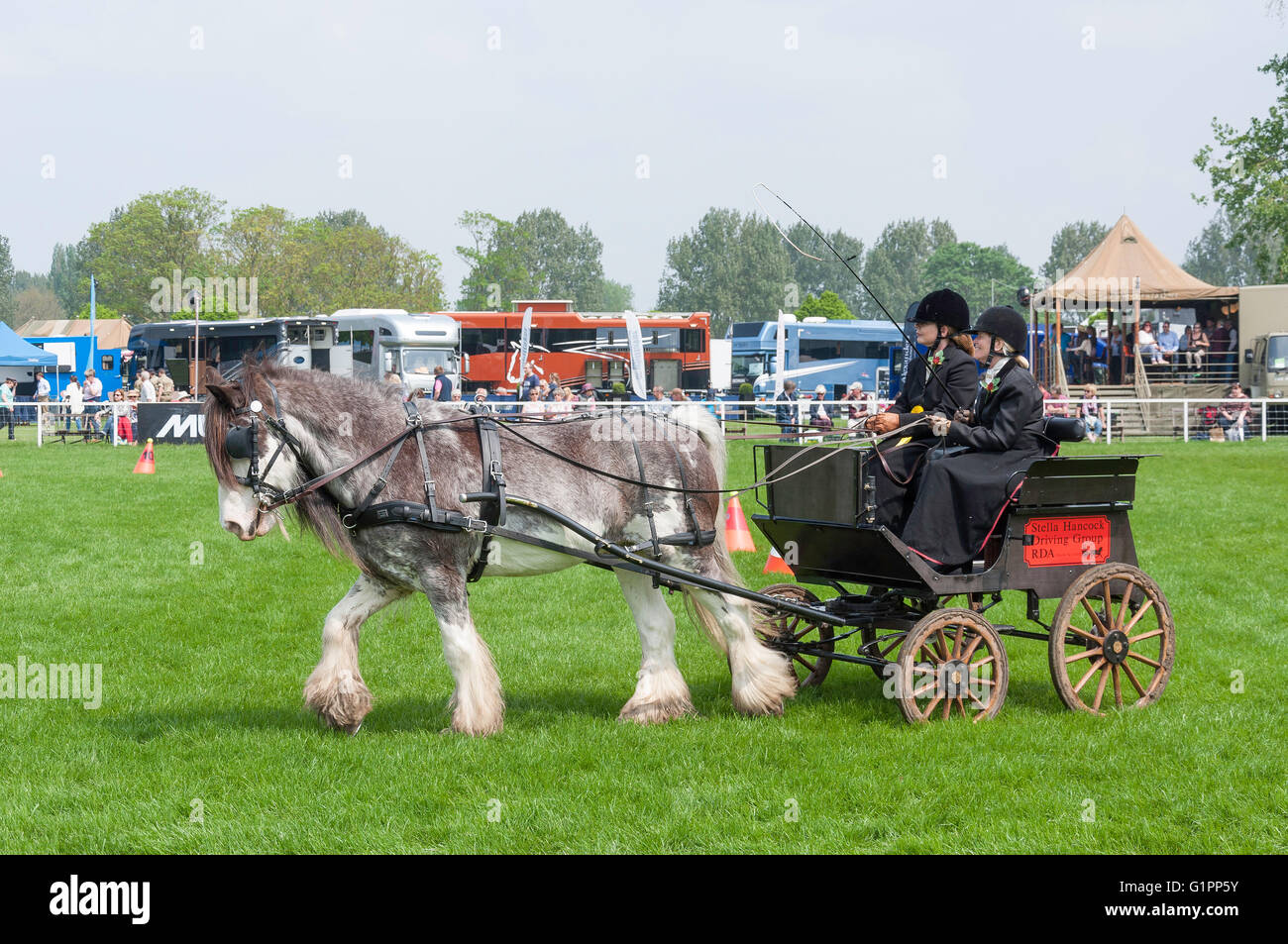 Équitation à cheval de chariot Mini Royal Windsor Horse Show, Home Park, Windsor, Berkshire, Angleterre, Royaume-Uni Banque D'Images