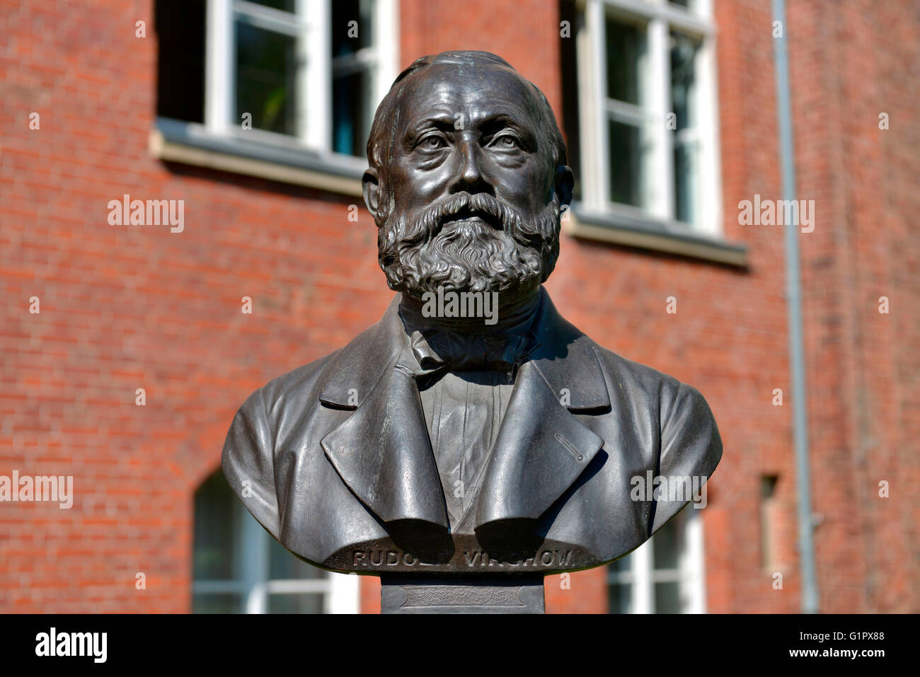 Bueste Rudolf Virchow, Charite, Berlin, Deutschland / Büste Banque D'Images