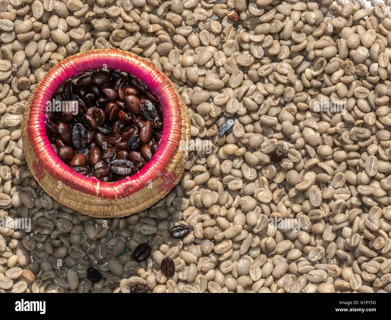 Le café torréfié et le café non torréfié, de l'Éthiopie. Banque D'Images