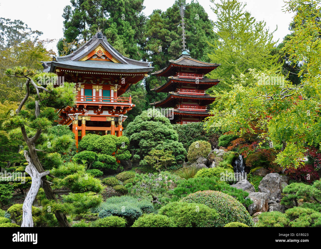 Pergolae, clipsé haies et cascade dans les jardins japonais, San Francisco, Californie, USA. Banque D'Images