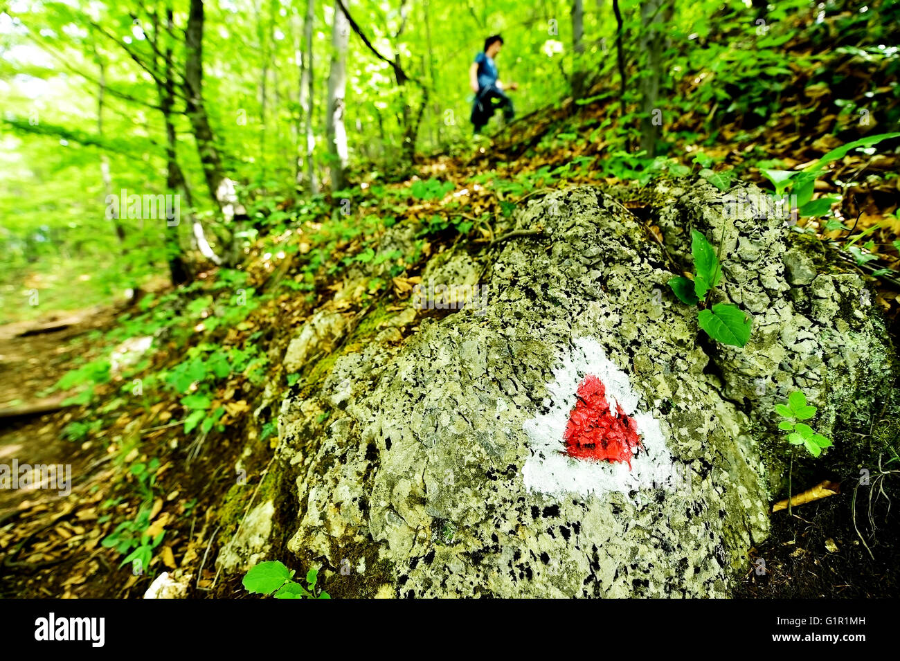 Randonnées triangle rouge marque de peinture sur un rocher avec randonneur sur le sentier Banque D'Images