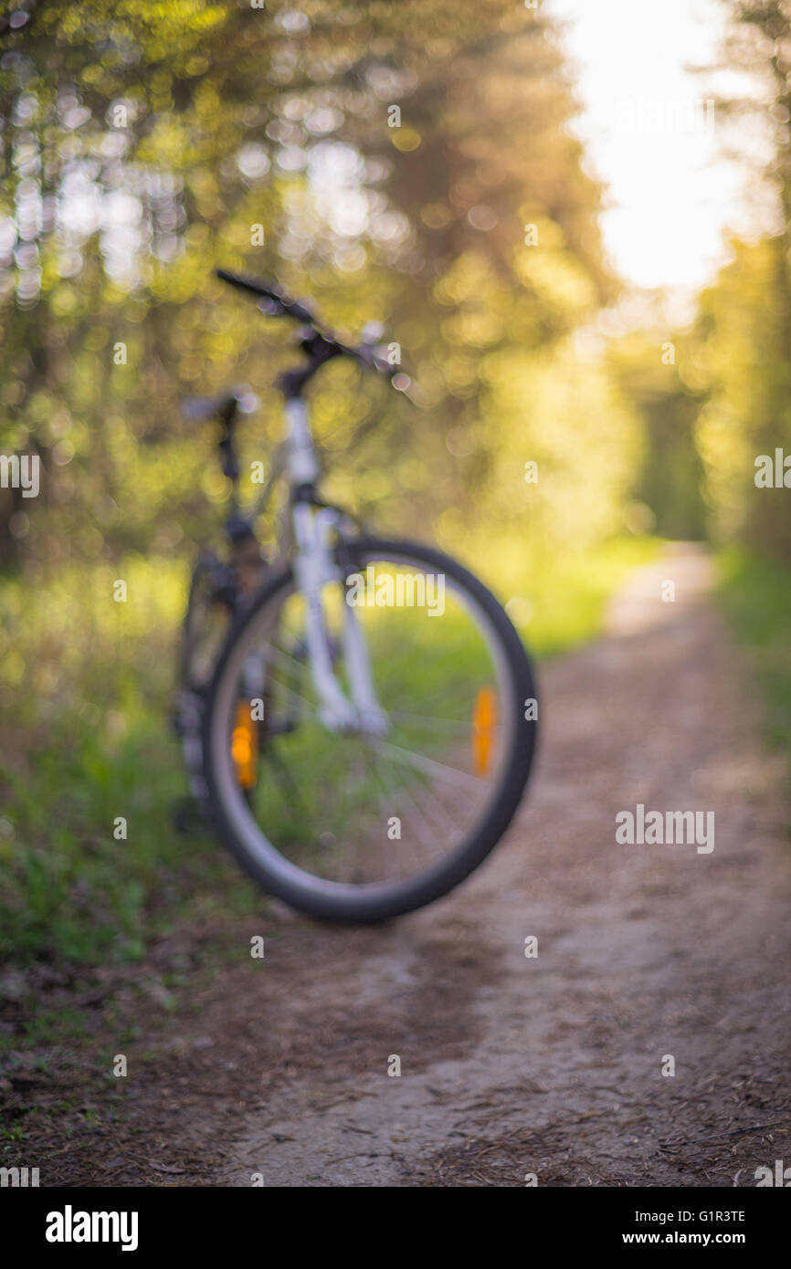Mountain bike stand sur chemin forestier étroit contre la lumière du soleil, concept de vie sain. Image floue Banque D'Images