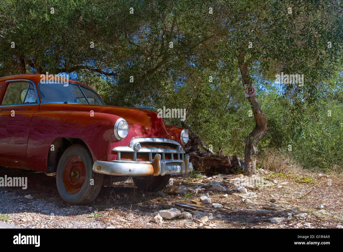 Vieille Chevrolet garée dans une oliveraie, Paxos, Grèce (vers 1950 Chevvy Série spéciale 1500 6, modèle 1508) Banque D'Images
