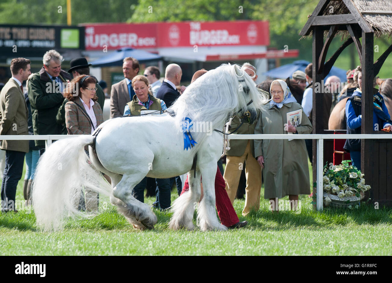 Sa Majesté la Reine qui fréquentent le Royal Windsor horse show dans le Berkshire, Angleterre Banque D'Images