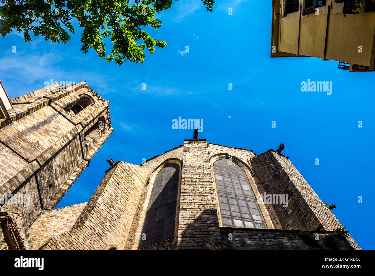 L'église Santa Maria del Pi dans gothique distric, Barcelone, Catalogne, Espagne Banque D'Images