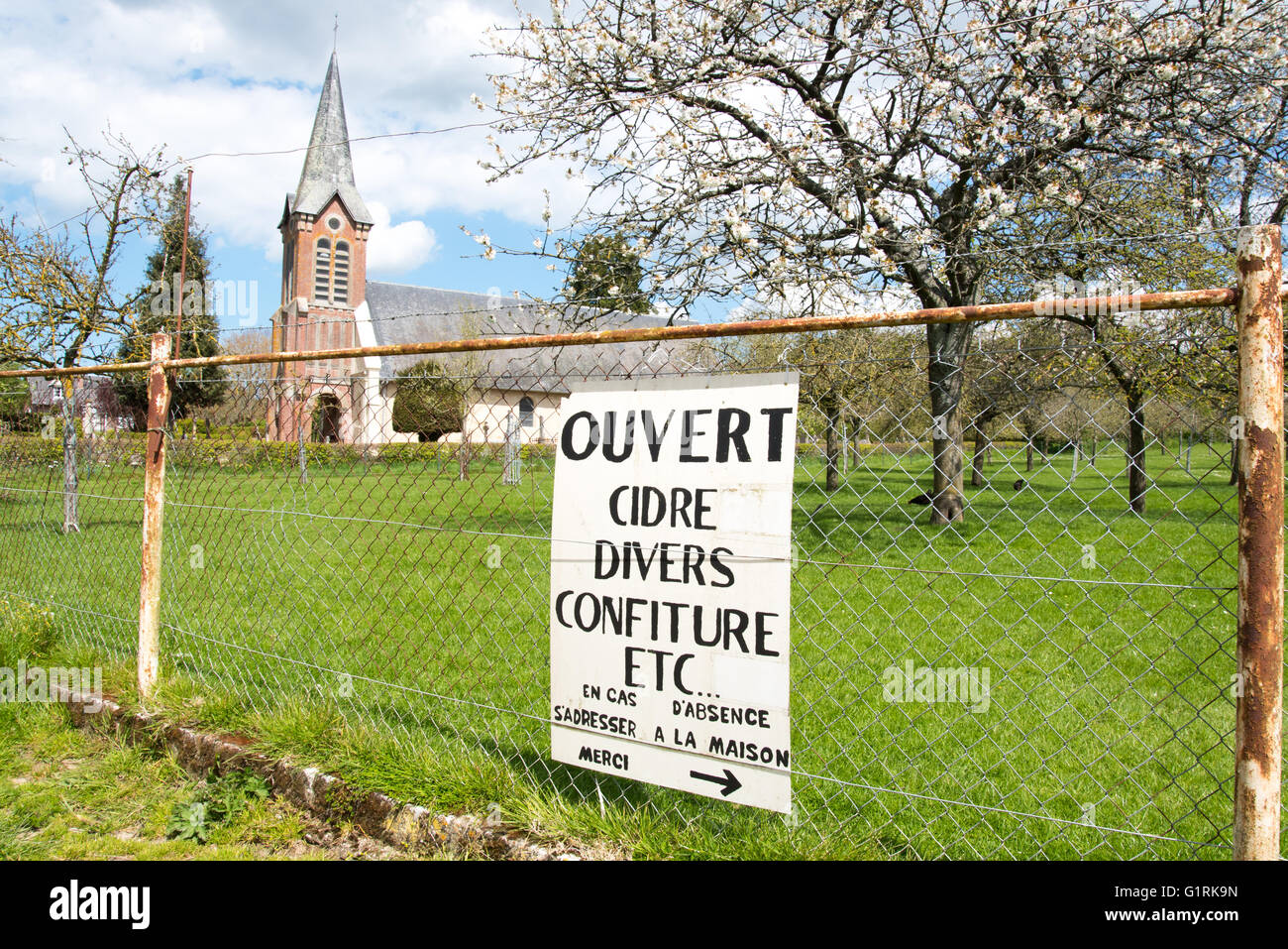 Verger de pommiers en fleurs sur le cidre ferme du joli village de Beuvron-en-Auge, Pays d'Auge région de Normandie Banque D'Images