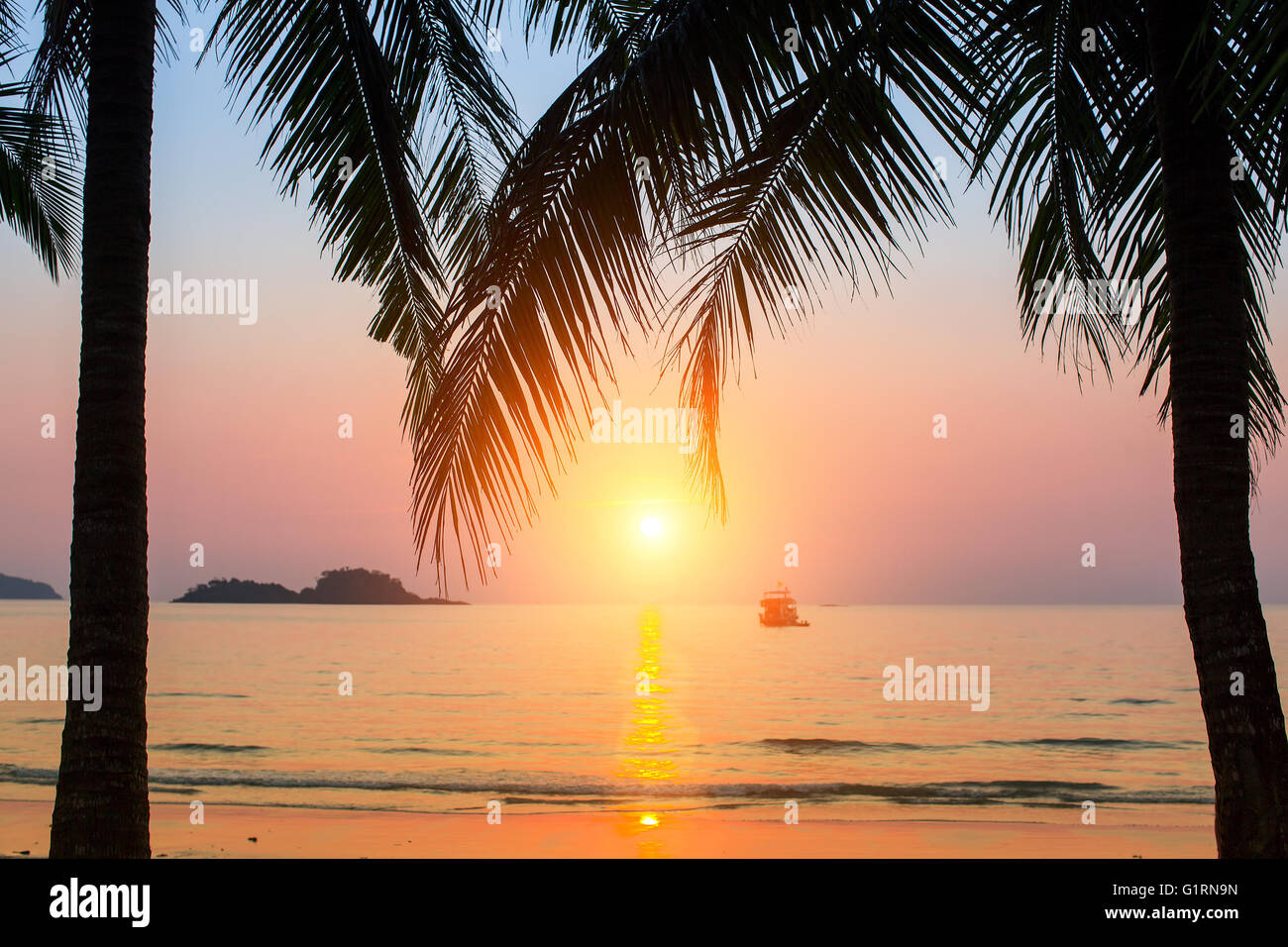 Coucher du soleil sur une plage tropicale, les silhouettes des feuilles de palmier. Banque D'Images