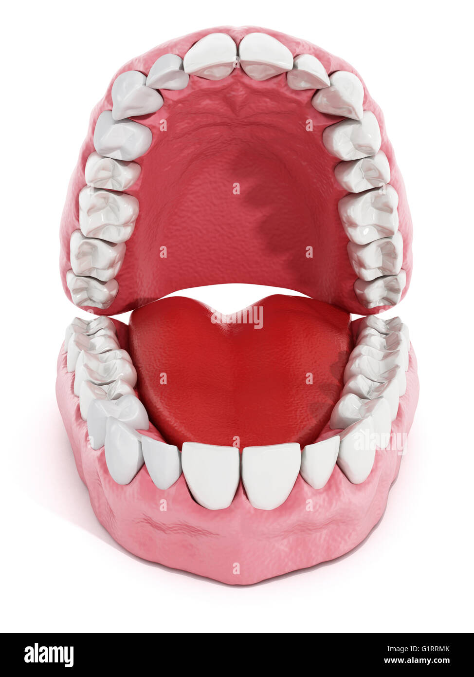 Les dents artificielles et modèle de poumon isolé sur fond blanc. 3D illustration. Banque D'Images