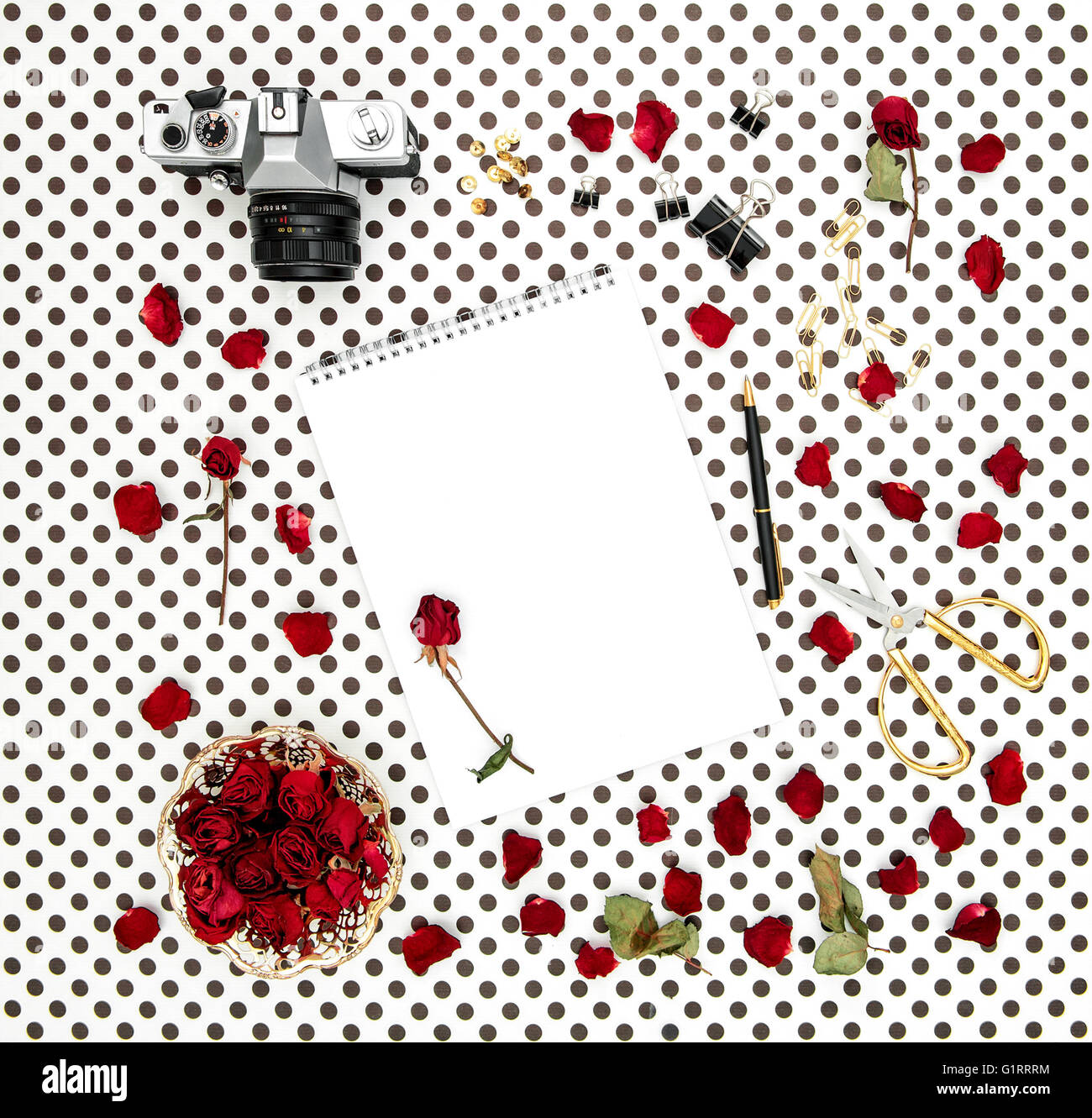 Mise à plat avec sketchbook, roses rouges, vintage camera, ciseaux sur fond bleu à pois Banque D'Images