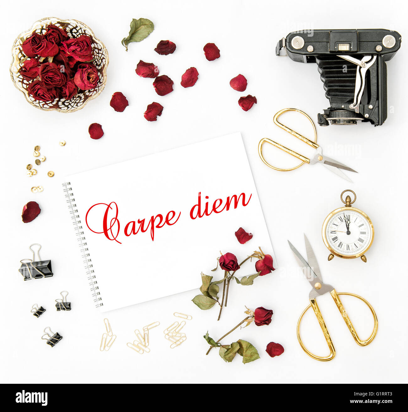 Mise à plat avec sketchbook, Red Rose, vintage camera, ciseaux sur fond blanc. Des maquettes de fleurs. L'exemple de texte Carpe diem Banque D'Images