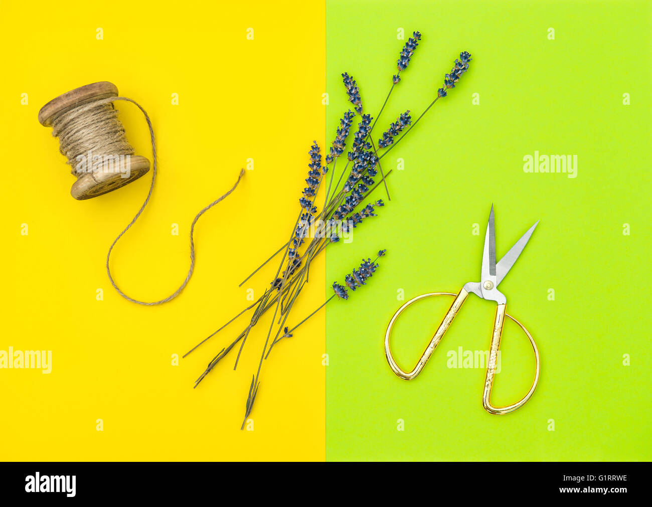 Les fleurs de lavande séchées et ciseaux vintage sur un fond de couleur. Concept minimal : mise à plat Banque D'Images