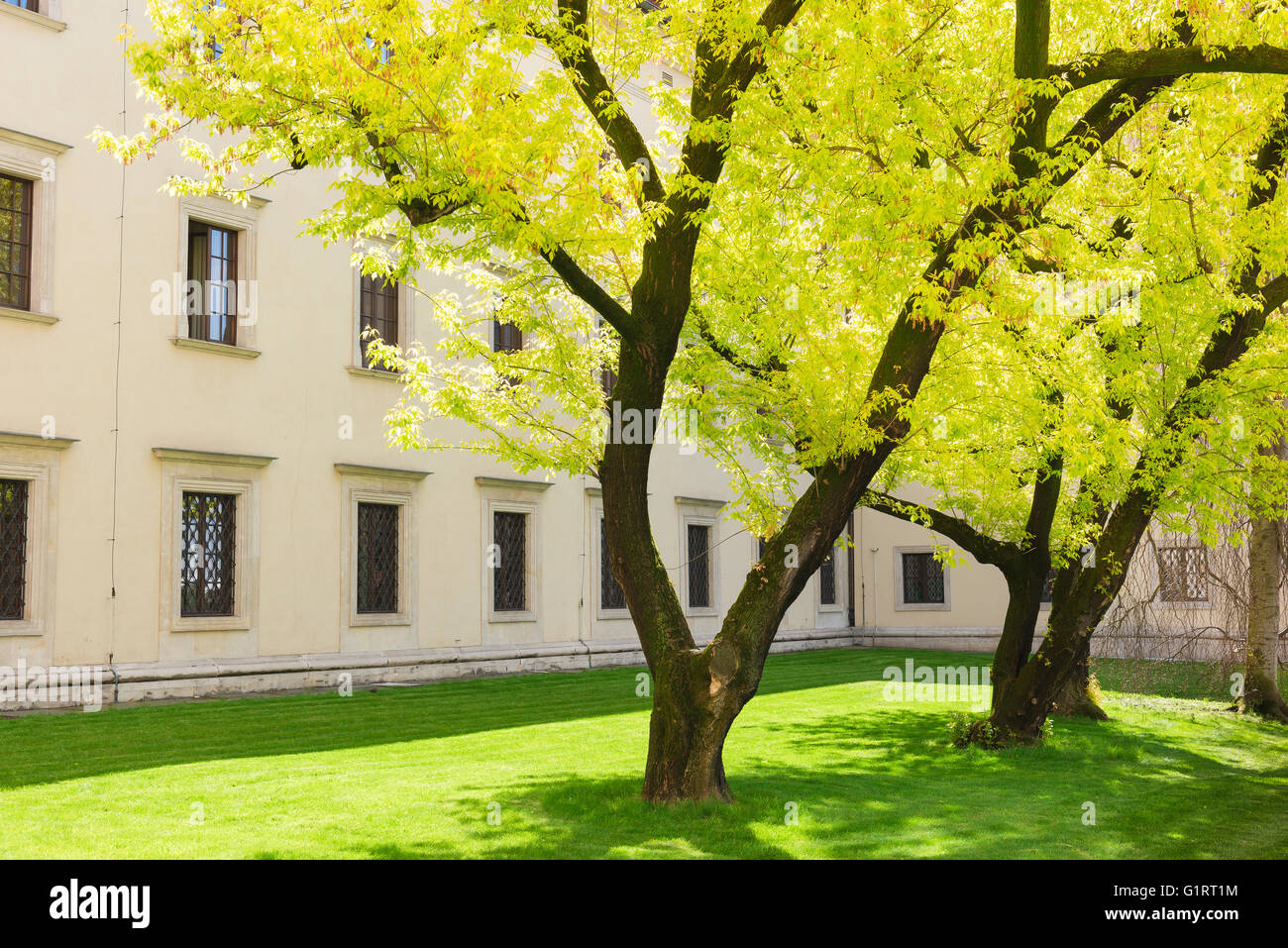 Printemps Cracovie, vue sur les arbres avec des feuilles de printemps colorées dans un tonneau à l'extérieur de l'ancienne cuisine royale du château royal de Wawel à Cracovie, en Pologne. Banque D'Images