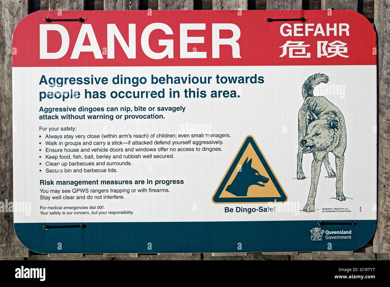 Signer, Avertissement, Danger de Dingo (Canis lupus dingo), Fraser Island, Great Sandy National Park, Queensland, Australie Banque D'Images