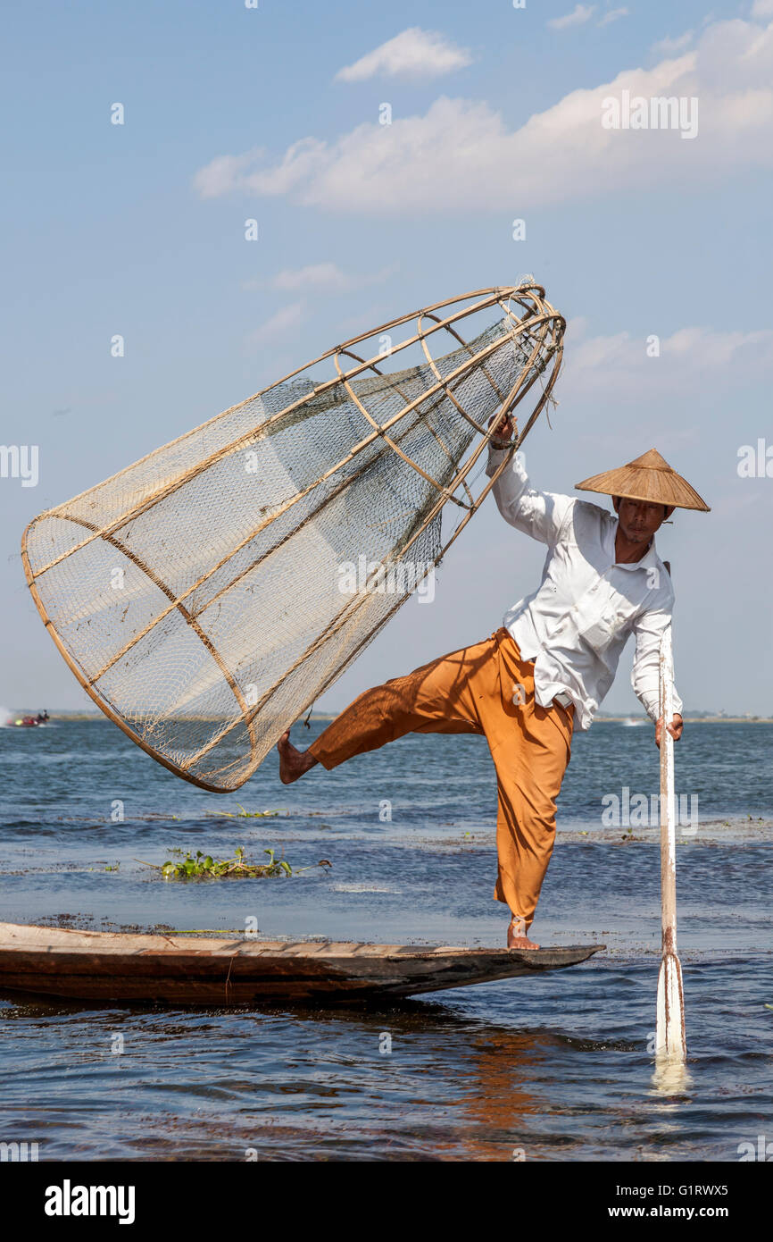 Sur le lac Inle, un pêcheur de son piège poissons sur un mouvement acrobatique (Myanmar). Pêcheur à la nasse sur le lac Inlé. Banque D'Images