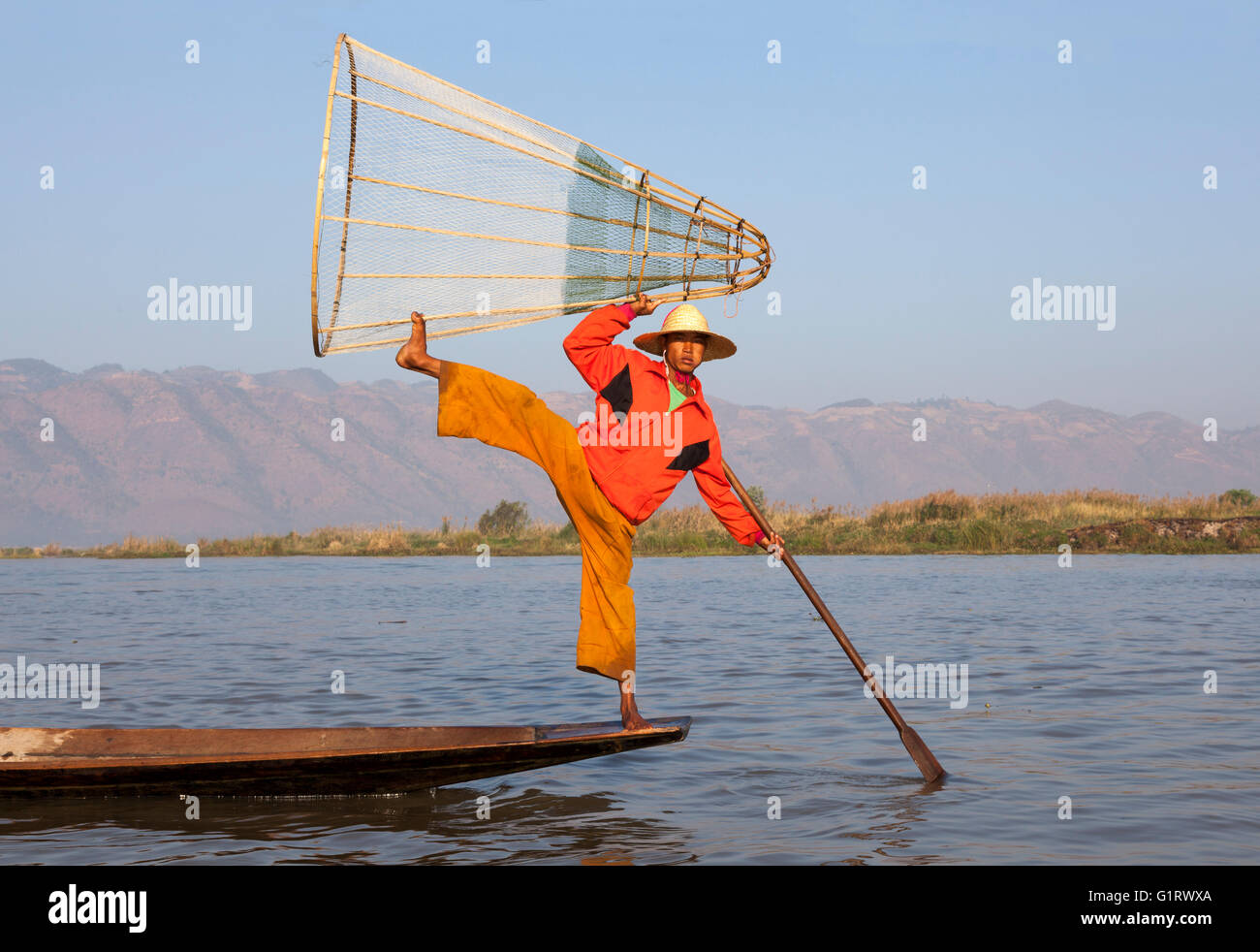 Sur le lac Inle, un pêcheur de son piège poissons sur un mouvement acrobatique (Myanmar). Pêcheur à la nasse sur le lac Inlé. Banque D'Images