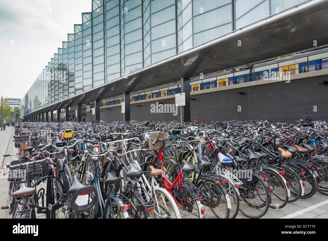 ROTTERDAM, HOLLAND-Mai 18, nouvelle location stockage pour les milliers de vélos à l'backsite de construire la nouvelle gare centrale de Rotterdam o Banque D'Images