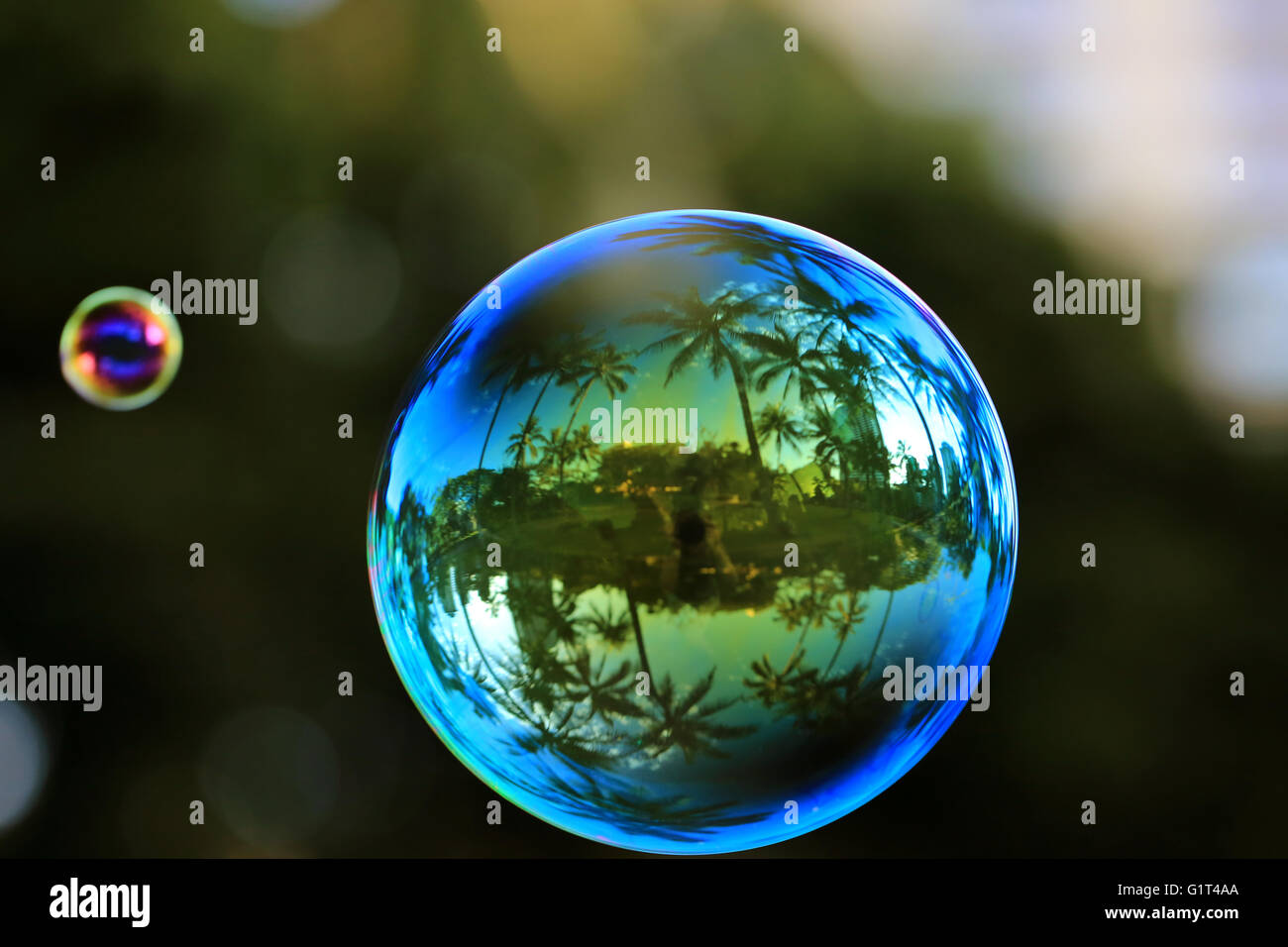 Arizona se reflétant dans une belle bulle de savon, macro Banque D'Images