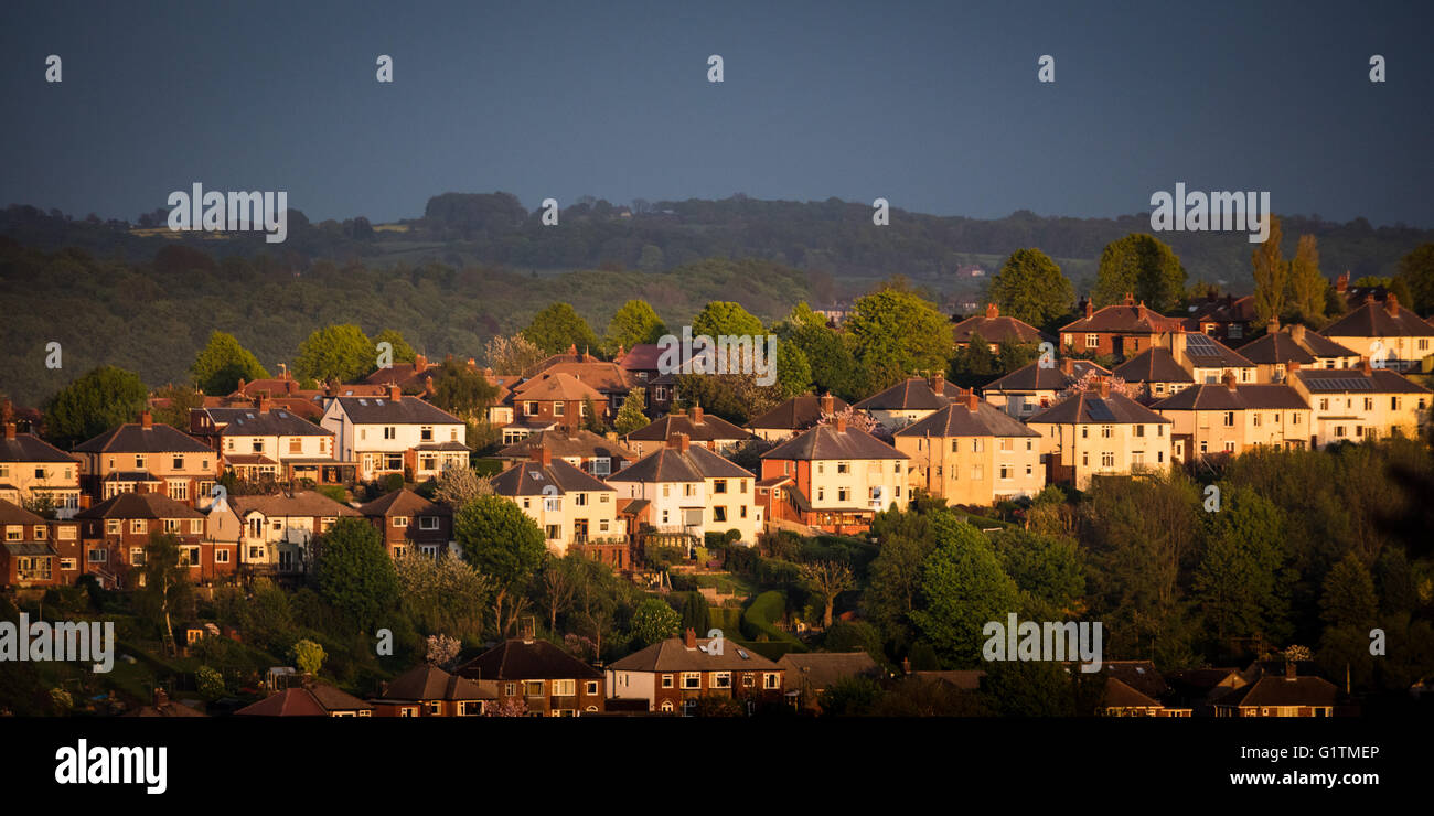 Sheffield, Royaume-Uni. 18 mai, 2016. Entre les averses de pluie, dernière lumière du jour illumine rangées de maisons dans la région de Sheffield Greystones, surrrounded printemps vert fraîchement par les arbres.  !8 mai 2016, Sheffield, South Yorkshire, Angleterre, Royaume-Uni. Credit : Graham Dunn/Alamy Live News Banque D'Images