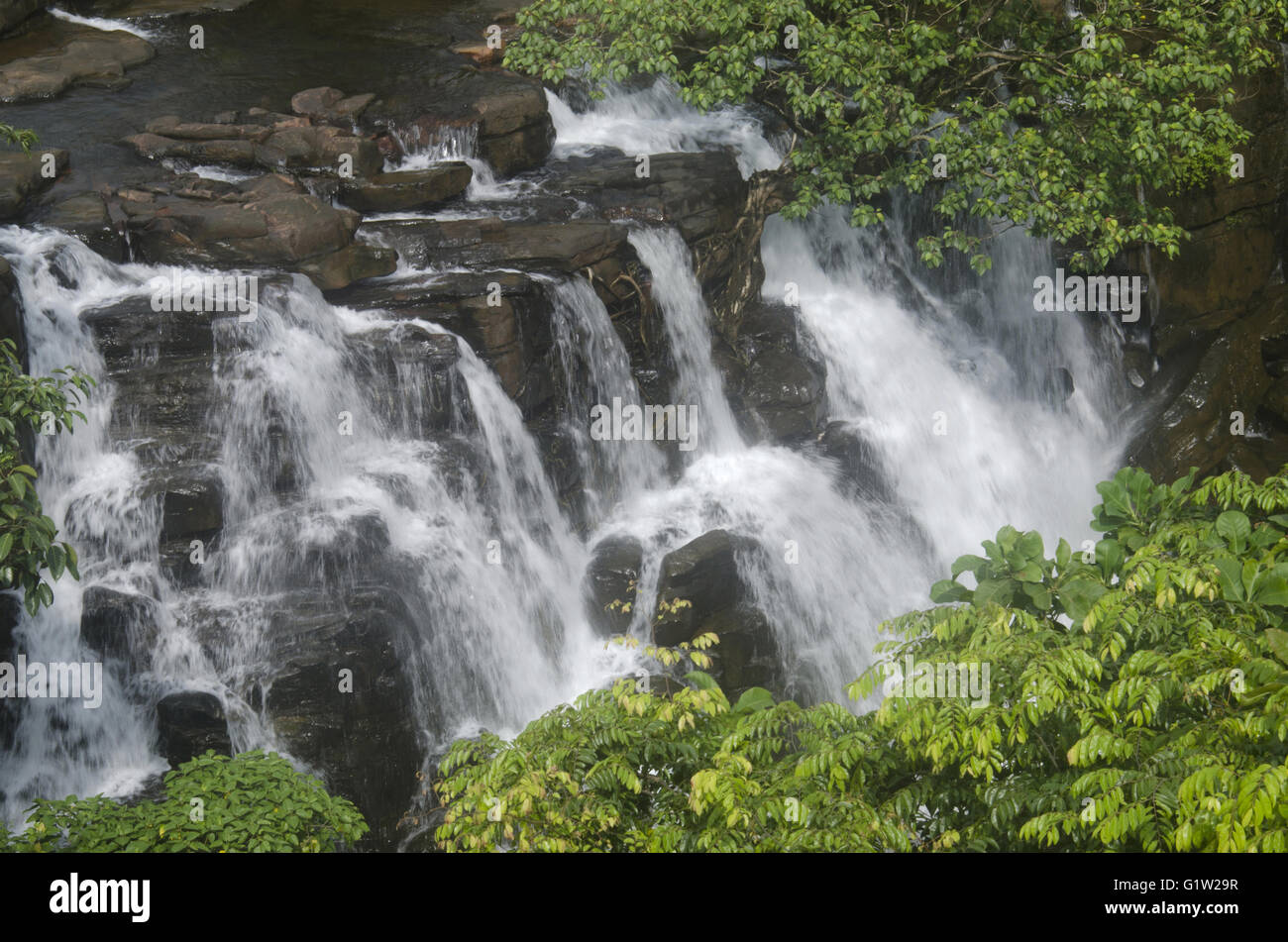 Cascade dans la saison des pluies, près de Ratnagiri, Maharashtra, Inde Banque D'Images