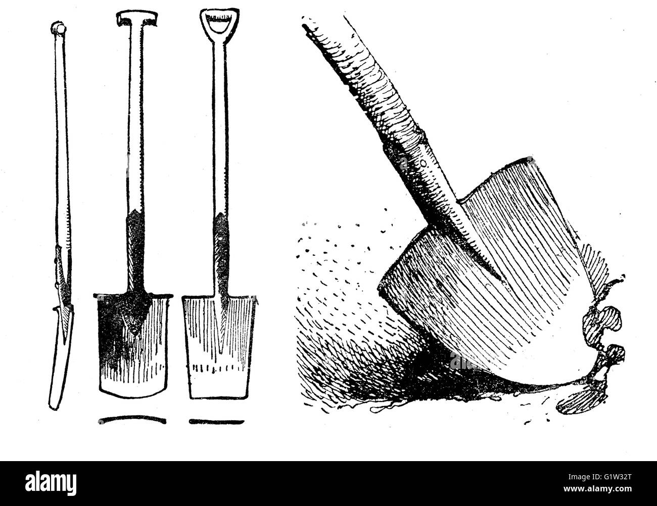 L'agriculture vintage illustration, spade et forme avec profil outils Banque D'Images