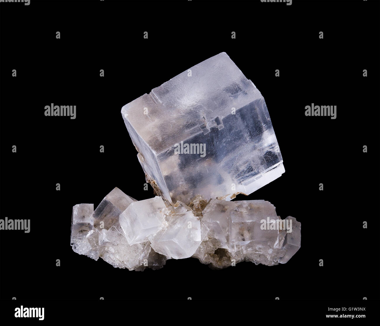 L'halite cluster cristal vue avant sur fond noir, communément appelé sel de roche, le minéral sous forme de chlorure de sodium, NaCl. Banque D'Images