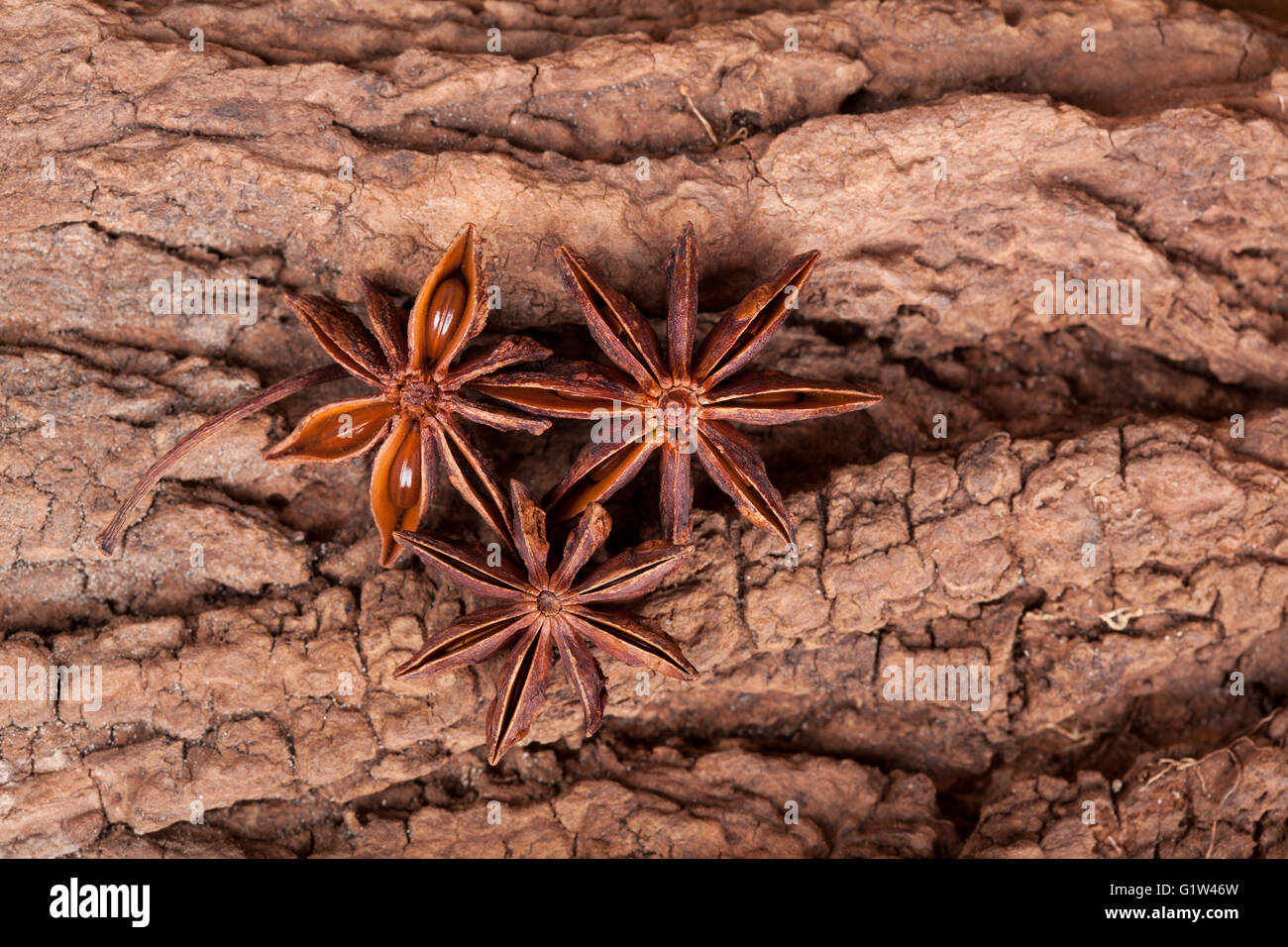 Avec Orange Cannelle et Anis Banque D'Images