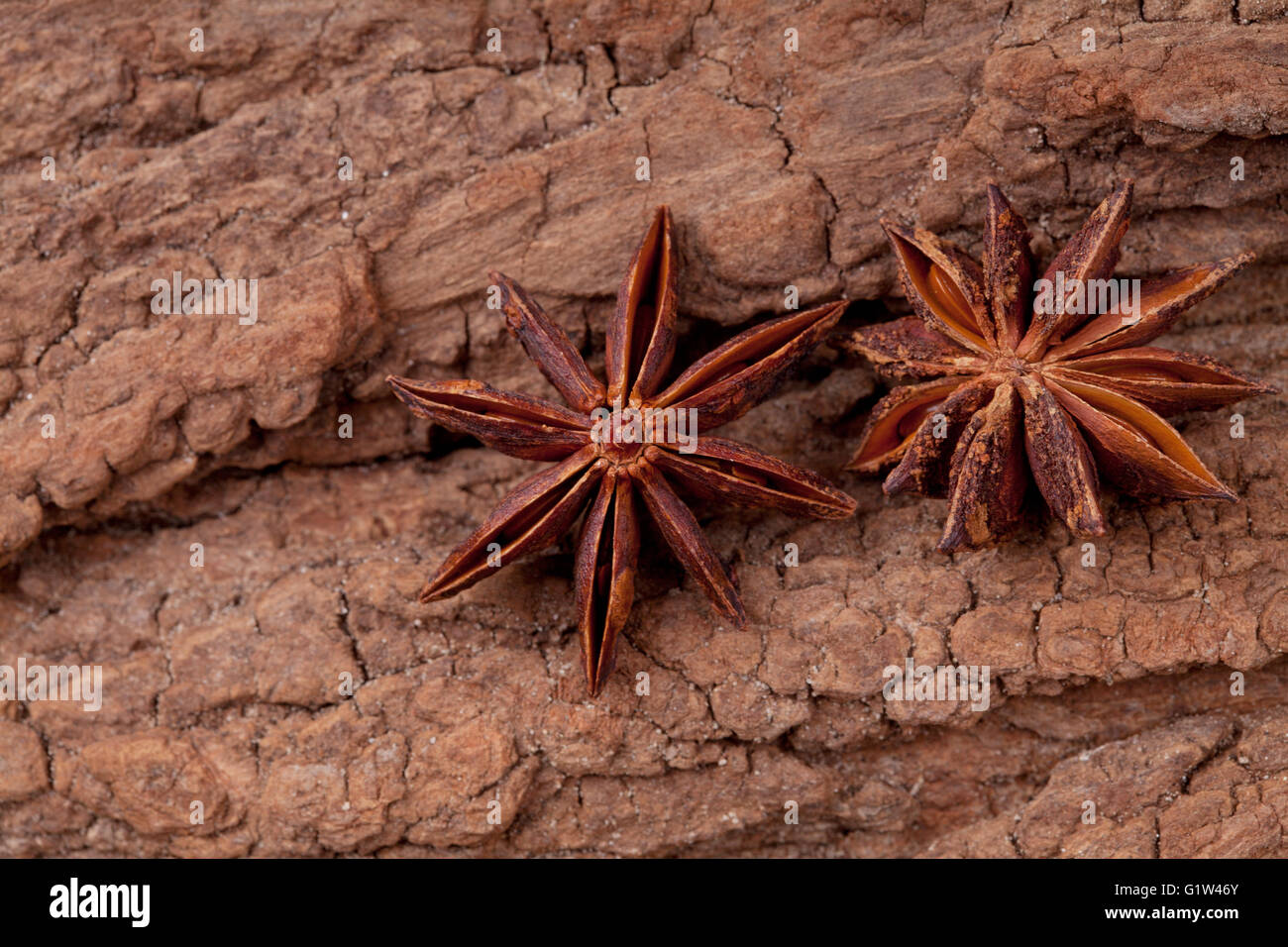 Avec Orange Cannelle et Anis Banque D'Images