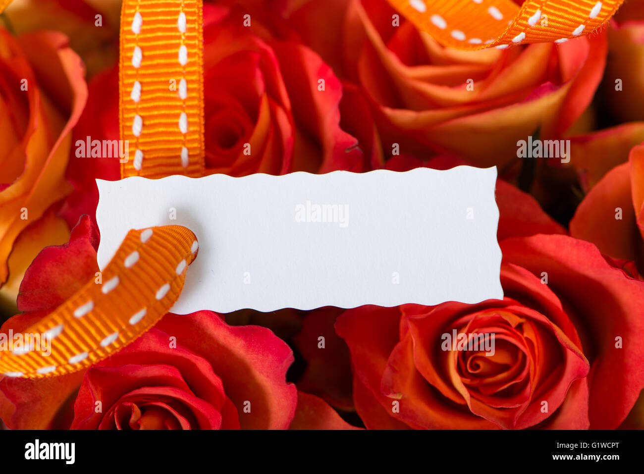 Gift tag sur rouge-orange roses Banque D'Images