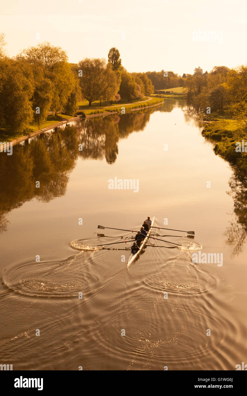 Les rameurs d'aviron sur la rivière Avon à l'aube, Warwick, Warwickshire, Angleterre, Royaume-Uni Banque D'Images