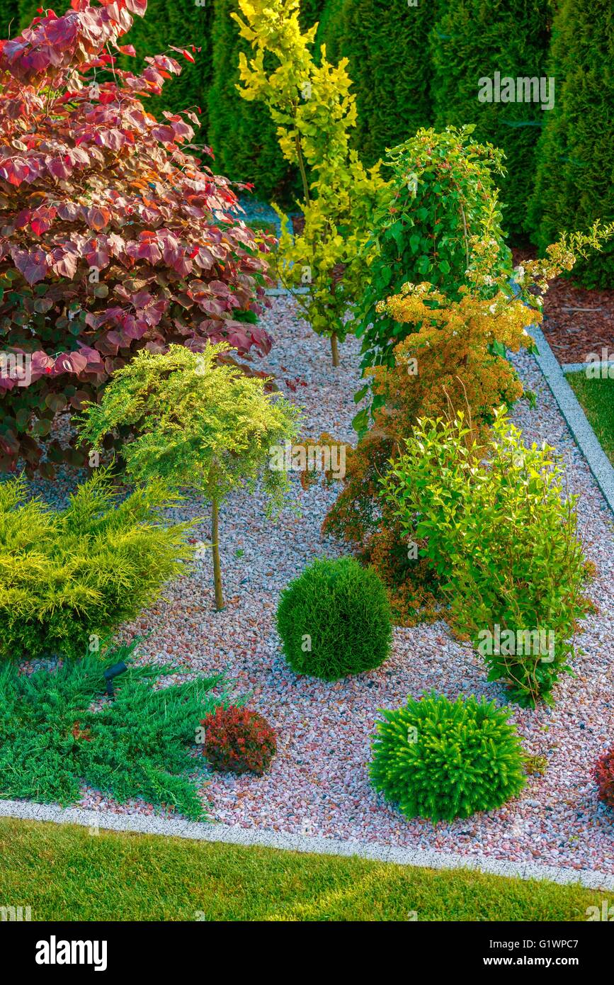 Le jardin de rocaille dans Design Photographie verticale. Conçu et construit un jardin. Banque D'Images