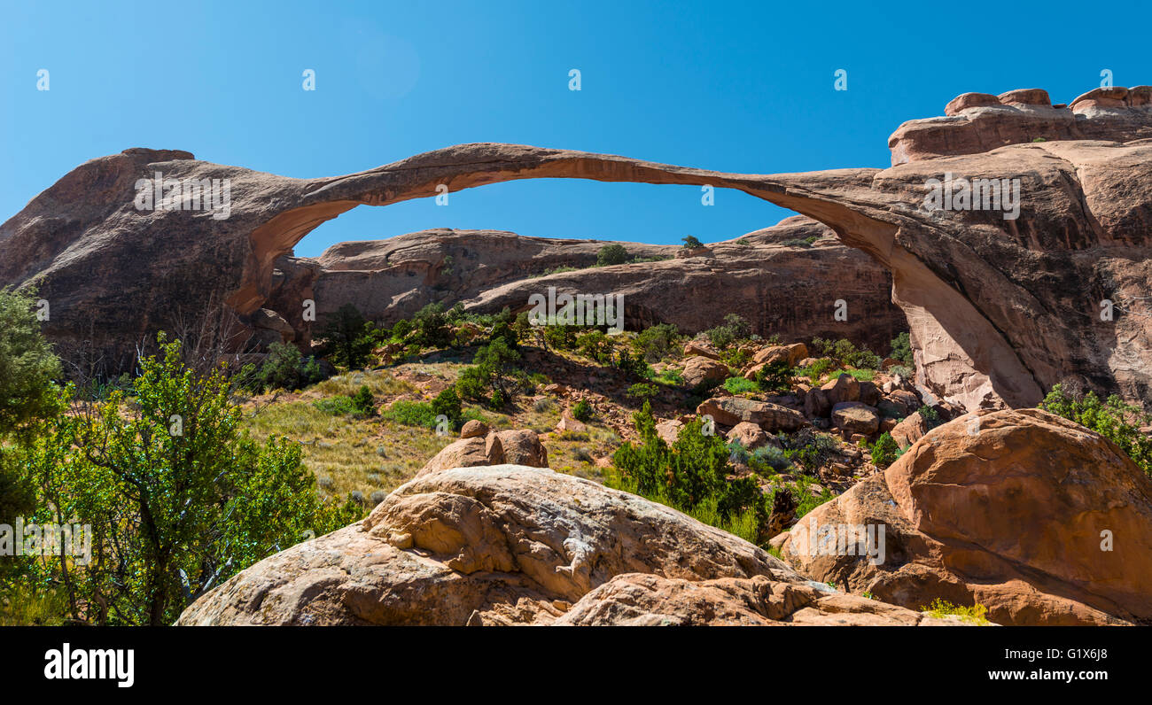 Arche naturelle Landscape Arch, Arches National Park, Moab, Utah, USA Banque D'Images