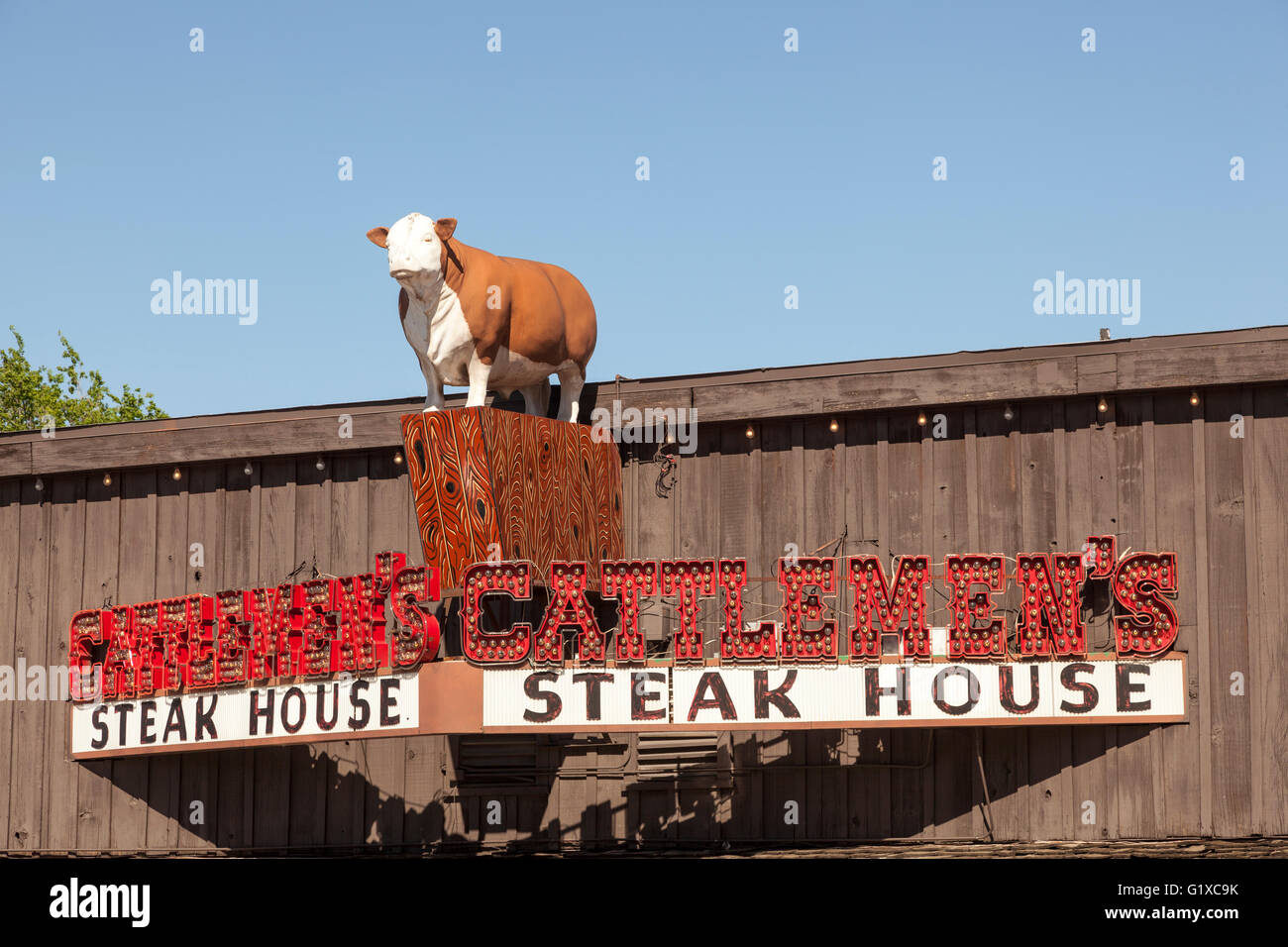 L'extérieur de l'Cattlemen's Steak House avec une statue de vache sur le dessus de l'immeuble. Fort Worth, Texas, États-Unis Banque D'Images