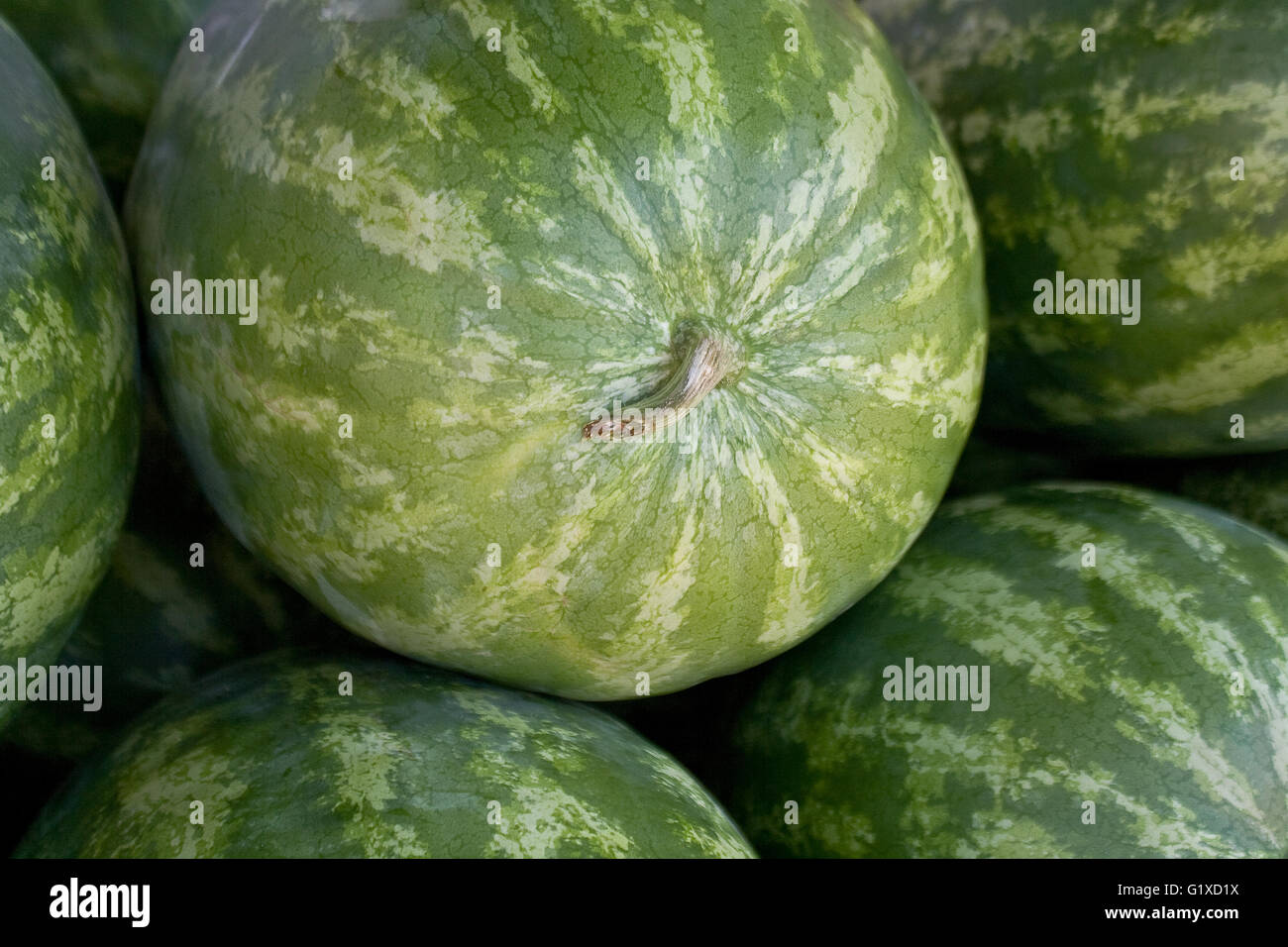 Les melons d'eau contexte Banque D'Images