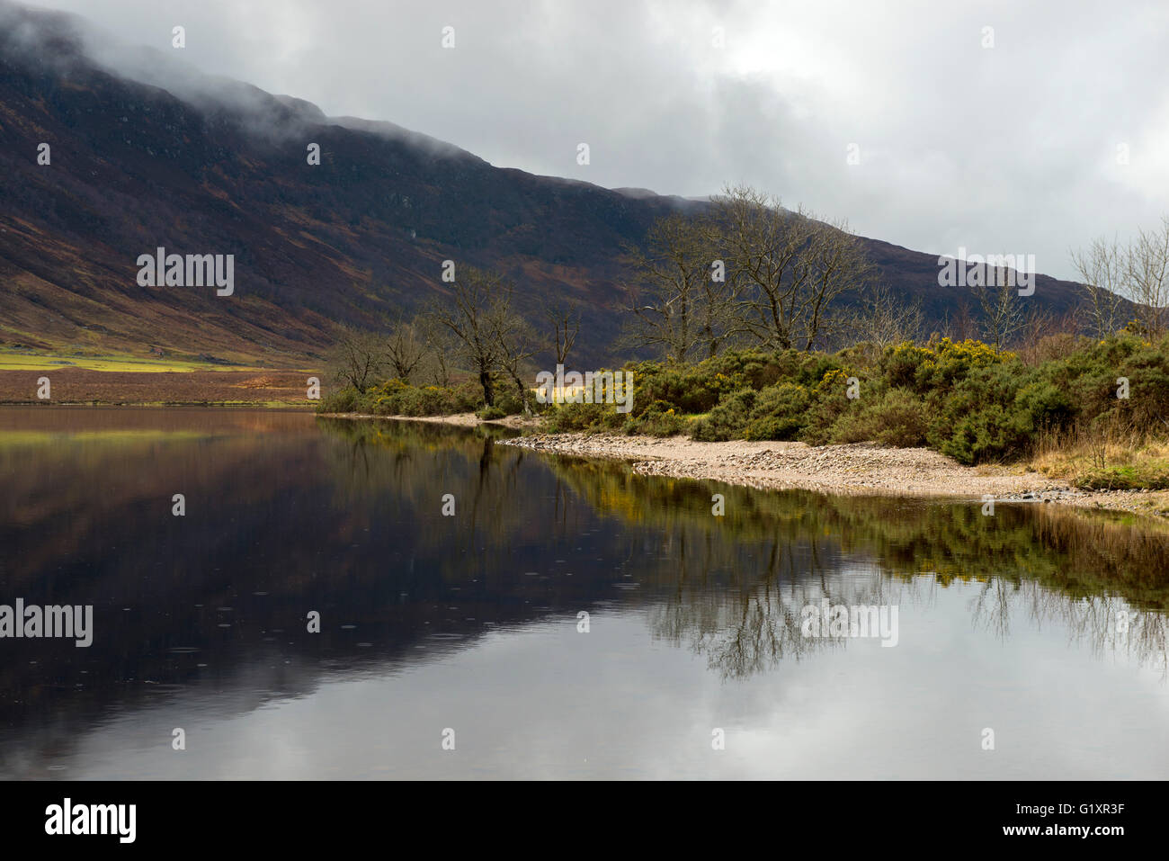 Réflexions sur le Loch, Dughaill Wester Ross Scotland UK Banque D'Images