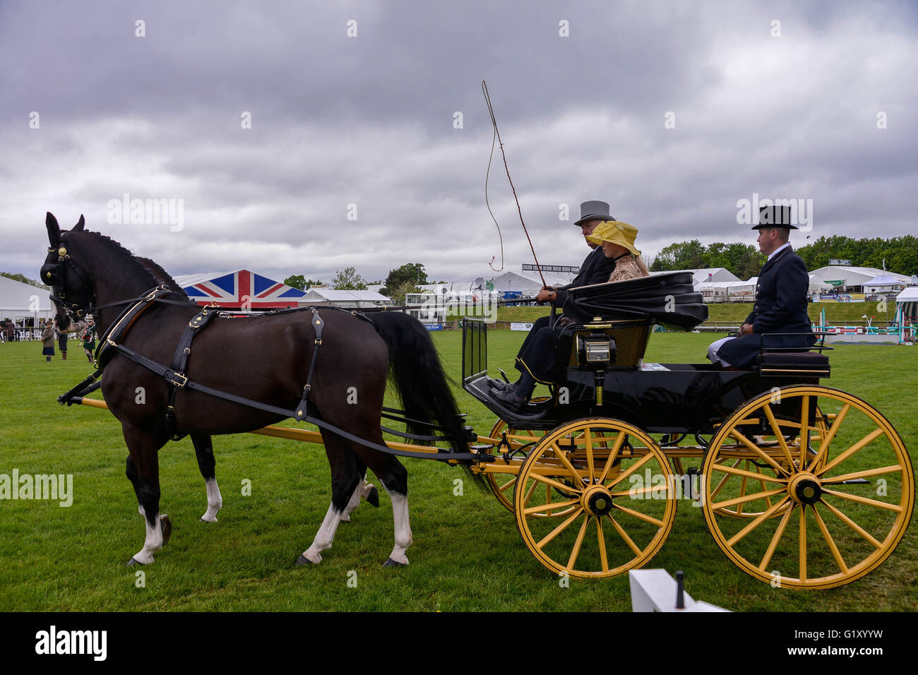 Devon, Royaume-Uni. 19 mai, 2016. Devon County Show est un événement de trois jours. L'affichage de l'agriculture, l'élevage, campagne, animation, animaux, jardinage, l'alimentation, et de saut d'achats. Gillian Downes/Alamy Live News. Banque D'Images