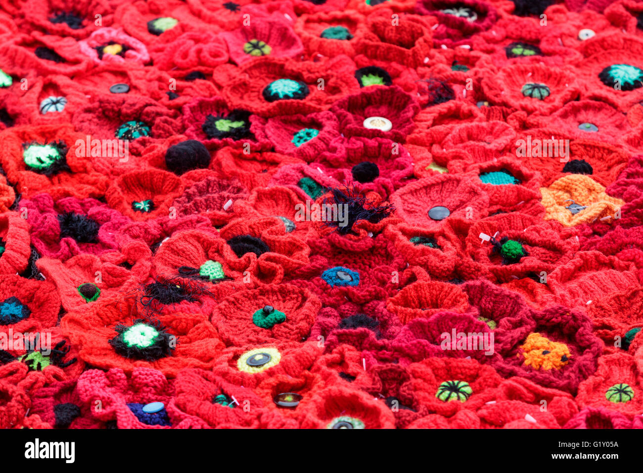 Londres, Royaume-Uni. 20 mai 2016. Les bénévoles préparent les coquelicots 5000 Projet à RHS Chelsea Flower Show. Le coquelicot afficher tous les honneurs militaires hommes et femmes qui ont combattu dans toutes les guerres, les conflits et les opérations de maintien de la paix au cours des 100 dernières années. Plus de 300 000 coquelicots fabriqués à la main ont été faites par 50 000 collaborateurs à travers le monde . Fondée par Verena Tucker et Sara Davies, l'coquelicots fabriqués à la collecte de fonds pour la Royal British Legion Poppy Appel. L'affichage sera en place pour la durée de la Chelsea Flower Show 2016. Crédit : Images éclatantes/Alamy Live News Banque D'Images