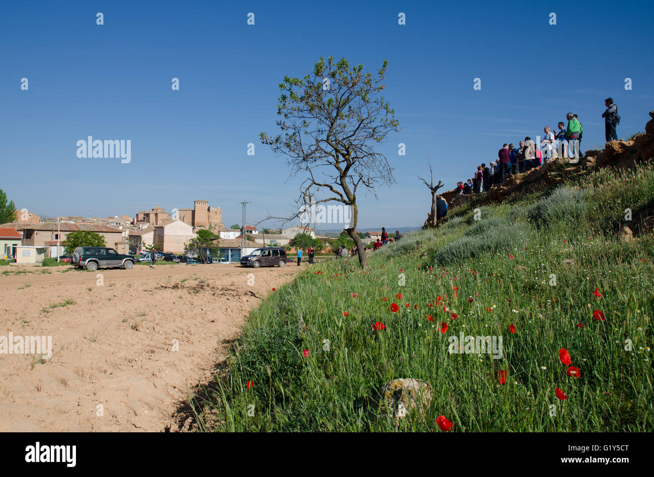 Cetina, Espagne. 21 mai, 2016. Les gens qui regardent les courses de lévriers dans Cetina. Credit : Valentin/Sama-Rojo Alamy Live News. Banque D'Images