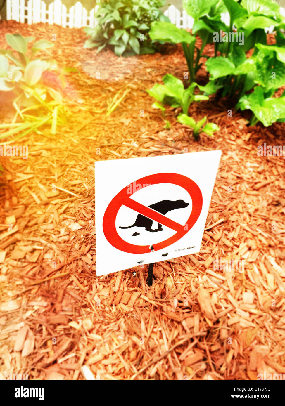 Dog Pooping Sign interdit, USA Banque D'Images