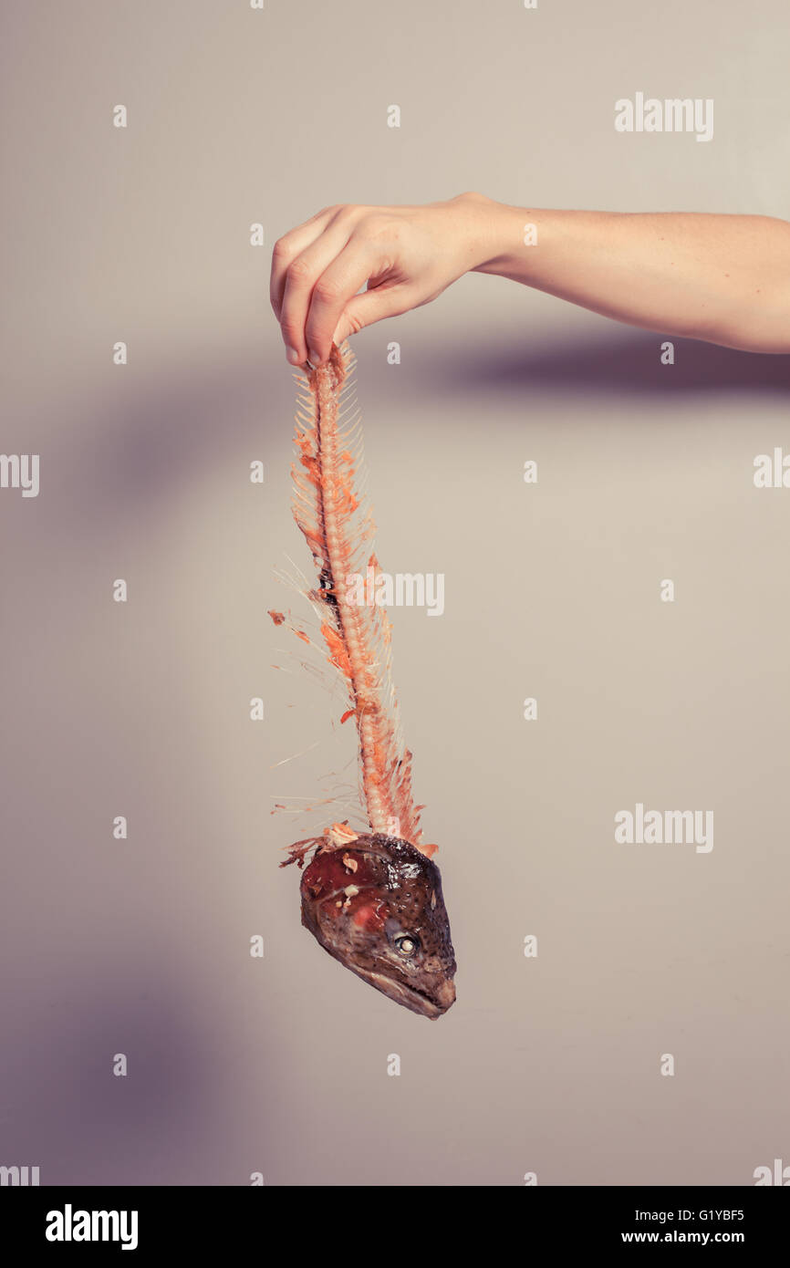 Une main est titulaire d'un squelette de poisson Banque D'Images