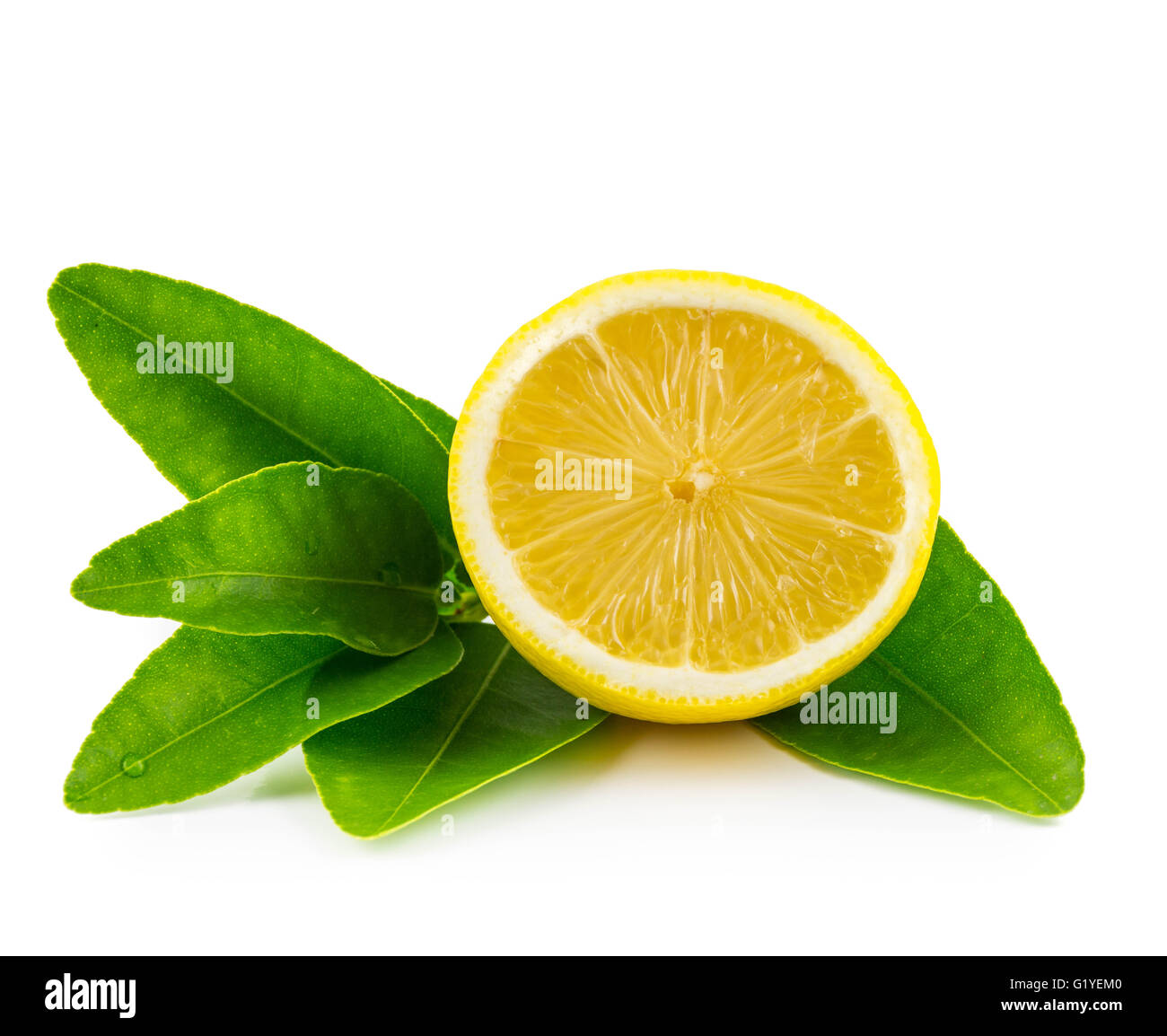 Demi-citron et feuilles Banque D'Images