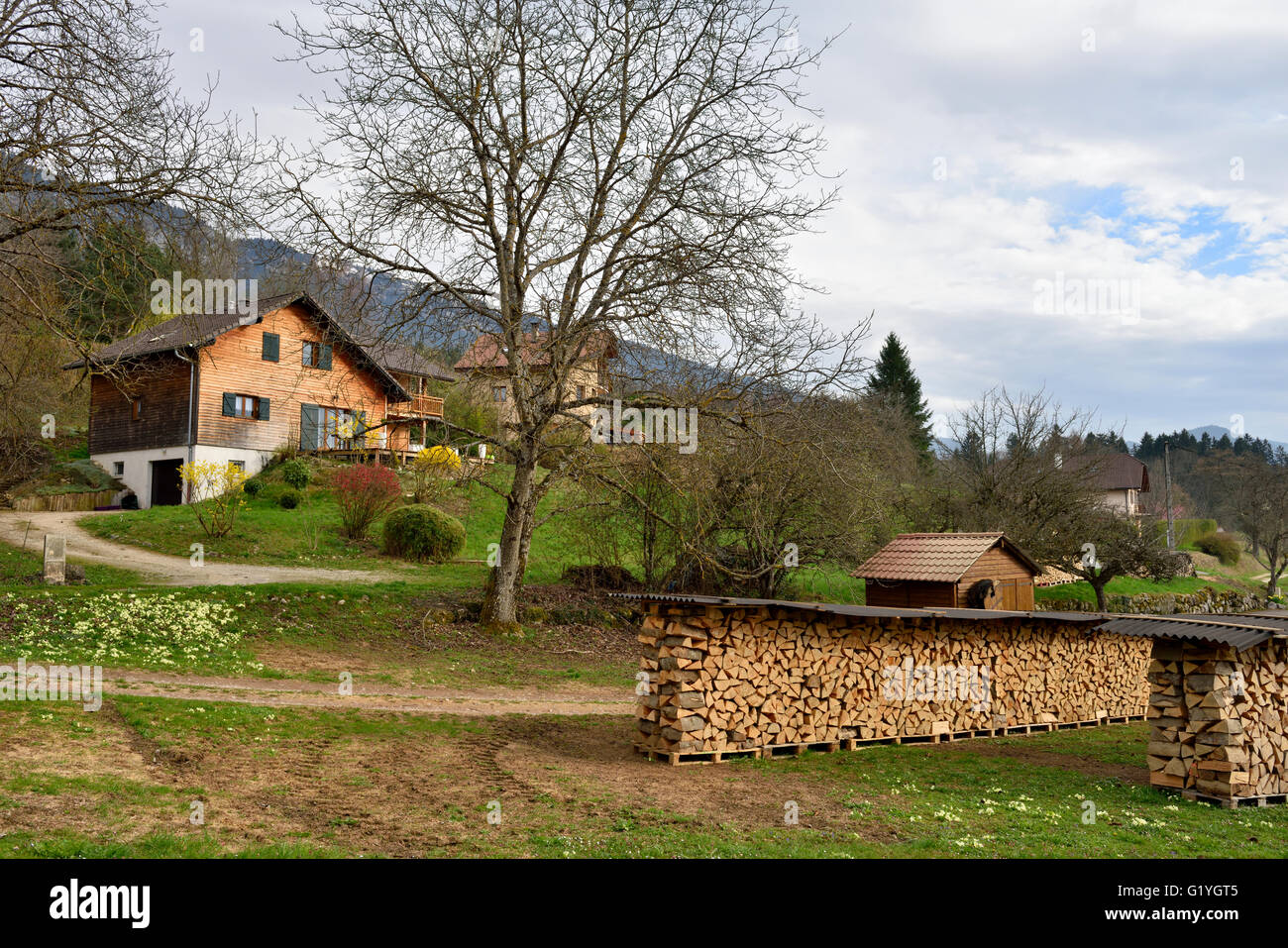 Maisons avec de grands tas de bois en milieu rural au sud-est de la France, près d'Annecy Banque D'Images