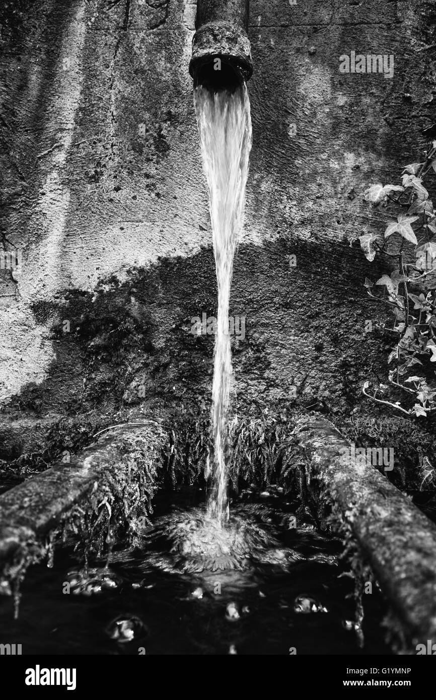Un filet d'eau tombe dans une baignoire de vieilles pierres moussues. Banque D'Images