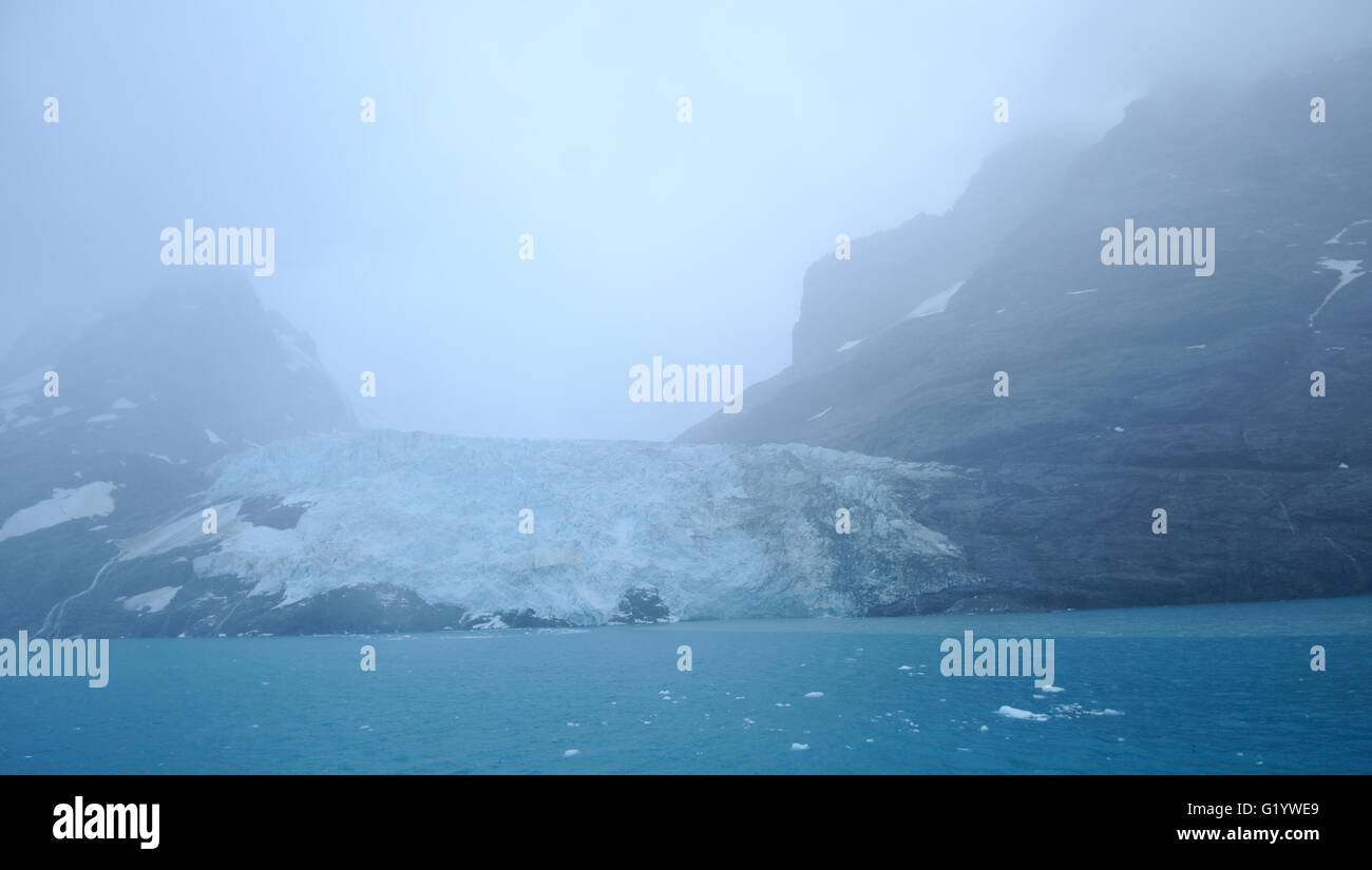 Le brouillard enveloppe les glaciers s'écoulant de l'interios de Géorgie du Sud dans le Fjord Drygalski. Fjord Drygalski, la Géorgie du Sud. Banque D'Images